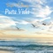 Pura Vida - Drops of Honey lyrics