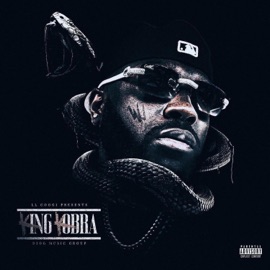 Coochie (feat. Larry bull & Dae flywalker) LL Coogi