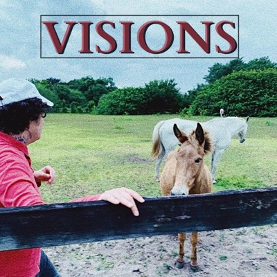 Visions - Single