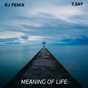 Meaning of Life (feat. T.Say) - EP