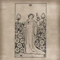 Nine of Pentacles - Single - xxkrilla
