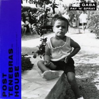 Pay'n'spray (Extended Mix) - Single - Gaba