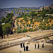 Yeshua (feat. Helmut Meijer) [Radio Edit] artwork