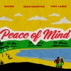 Peace of Mind (feat. Tory Lanez) cover art