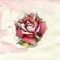Nightshade - Astreaux lyrics