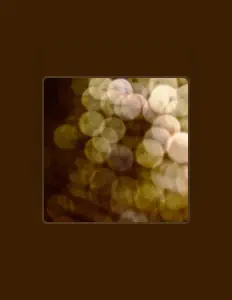 Night Effects: песни, клипы, биография, даты выступлений и многое другое.