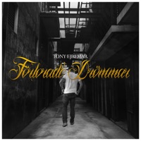 Förlorade drömmar - Single - Tony Ejremar