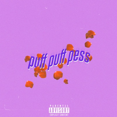 Puff Puff Pass (feat. Kobi Kose, Muzi, Goof041 & Bronca) - Single
