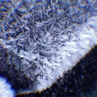 Numb - Single - CorruptInfinity