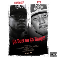 Ça dort ou ça bang (feat. O.T.T) - Single