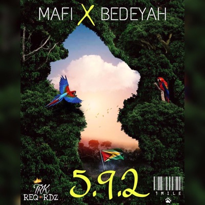 592 (feat. BEDEYAH) - Single