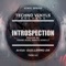 Introspection (Frank Ross Remix) - Guillermo DR lyrics