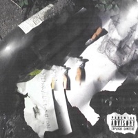 Memory Detonation - Single - Ziggy