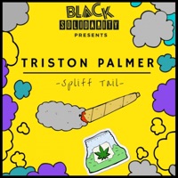 Triston Palmer - Collie Man (2019 Remaster)