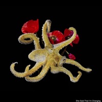 She Said That I'm Changing - Single - Old Chingu & Tyler Parker