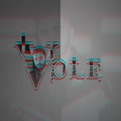 Vole artwork