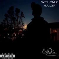 Wel CM 2 Ma Lyf - Single - Assasinandie