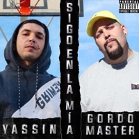 Sigo en la Mia (feat. Gordo Master) - Single - Yassin