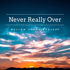 Never Really Over - Single