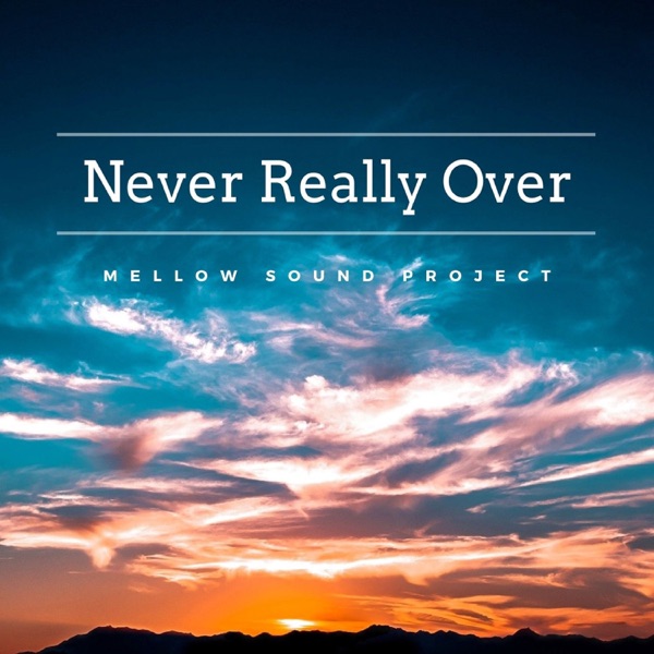 Never Really Over - Single