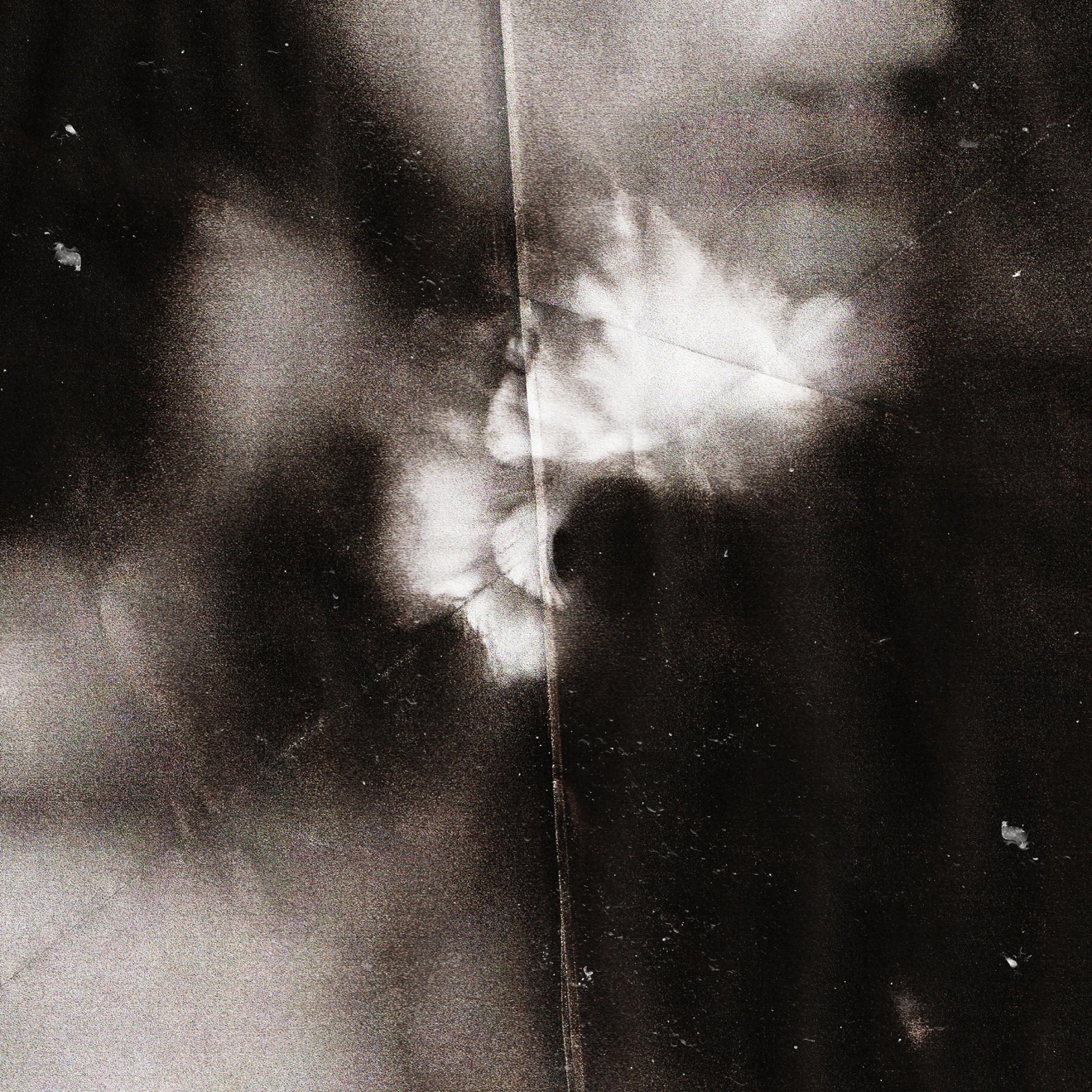 Holding Absence – Holding Absence (Deluxe Version) (2019) [iTunes Match M4A]