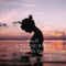 A te che resti (feat. Dr. Testo) - Gio.D lyrics