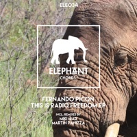 This Is Radio Freedom - EP - Fernando Picon, Martin Panizza & Miki Mad