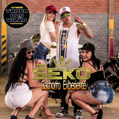 Cachorro Experiente (feat. Wolverine) - Single