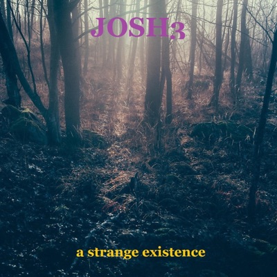 A Strange Existence - Single