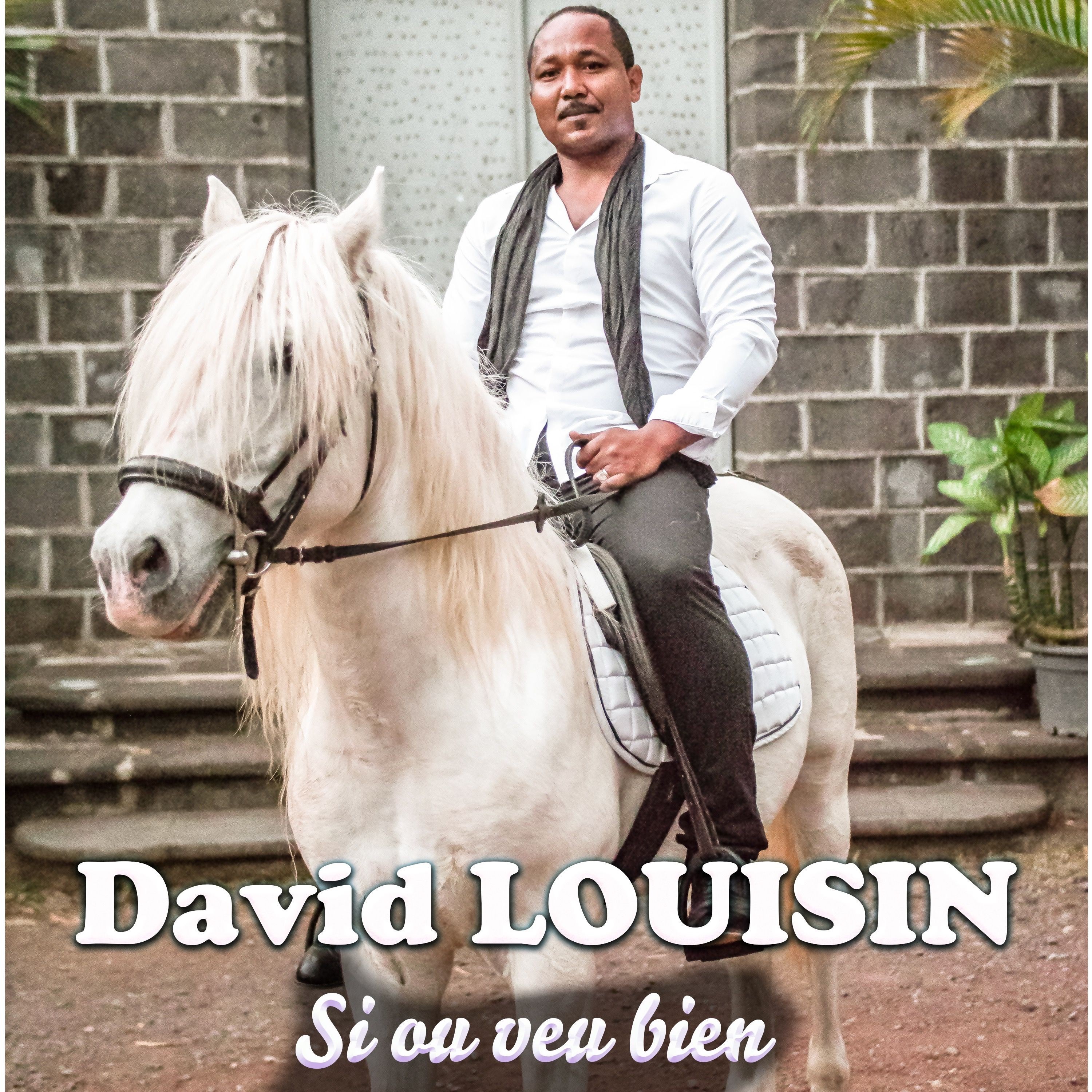 DAVID LOUISIN - Si ou veu bien