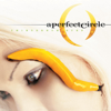 The Outsider - A Perfect Circle