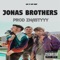 Jonas Brothers - Got It Off Vert lyrics