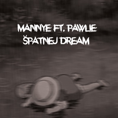 Špatnej dream (feat. Lil Pawlie) - Single