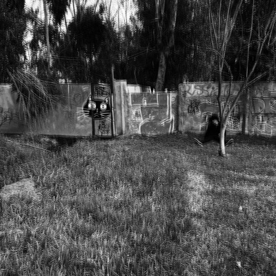 Metamorphosis - Single