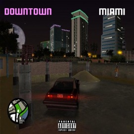 Downtown Miami Flossyape