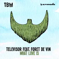 What Love Is — Televisor feat. Foret de Vin