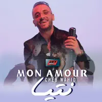 Mon amour ntiya — Cheb Wahid