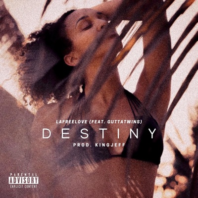 Destiny (feat. Gutta Twins) - Single