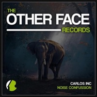 Noise Confussion - Single - Carlos Inc