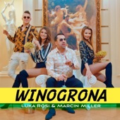 Winogrona artwork