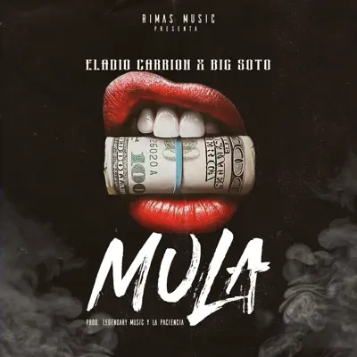 Mula - Single - Big Soto
