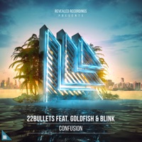 Confusion (feat. Goldfish & Blink) - Single - 22Bullets
