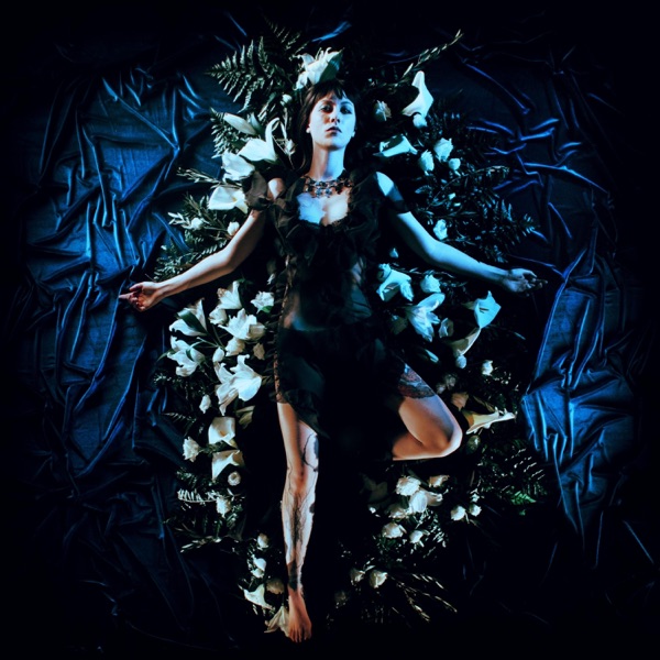 Prodrome cover