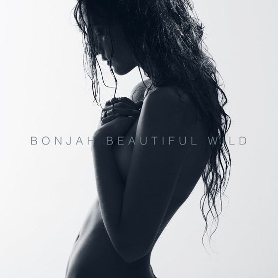 Cover artwork for Evolution
