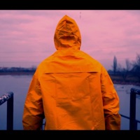 Bipolar - Single - Sweb