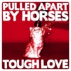 Pulled Apart By Horses