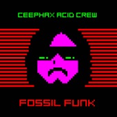 Fossil Funk Piano Mix (Live Studio Version) artwork