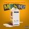 Missing (feat. S3nsi Molly & Lil Brook) - Fame Dee lyrics