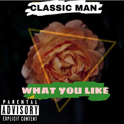 What You Like - Single