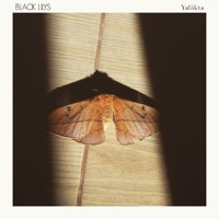 Yaläkta - Single - Black Lilys